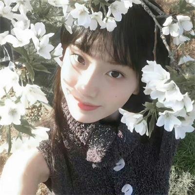 窥情国语封面
